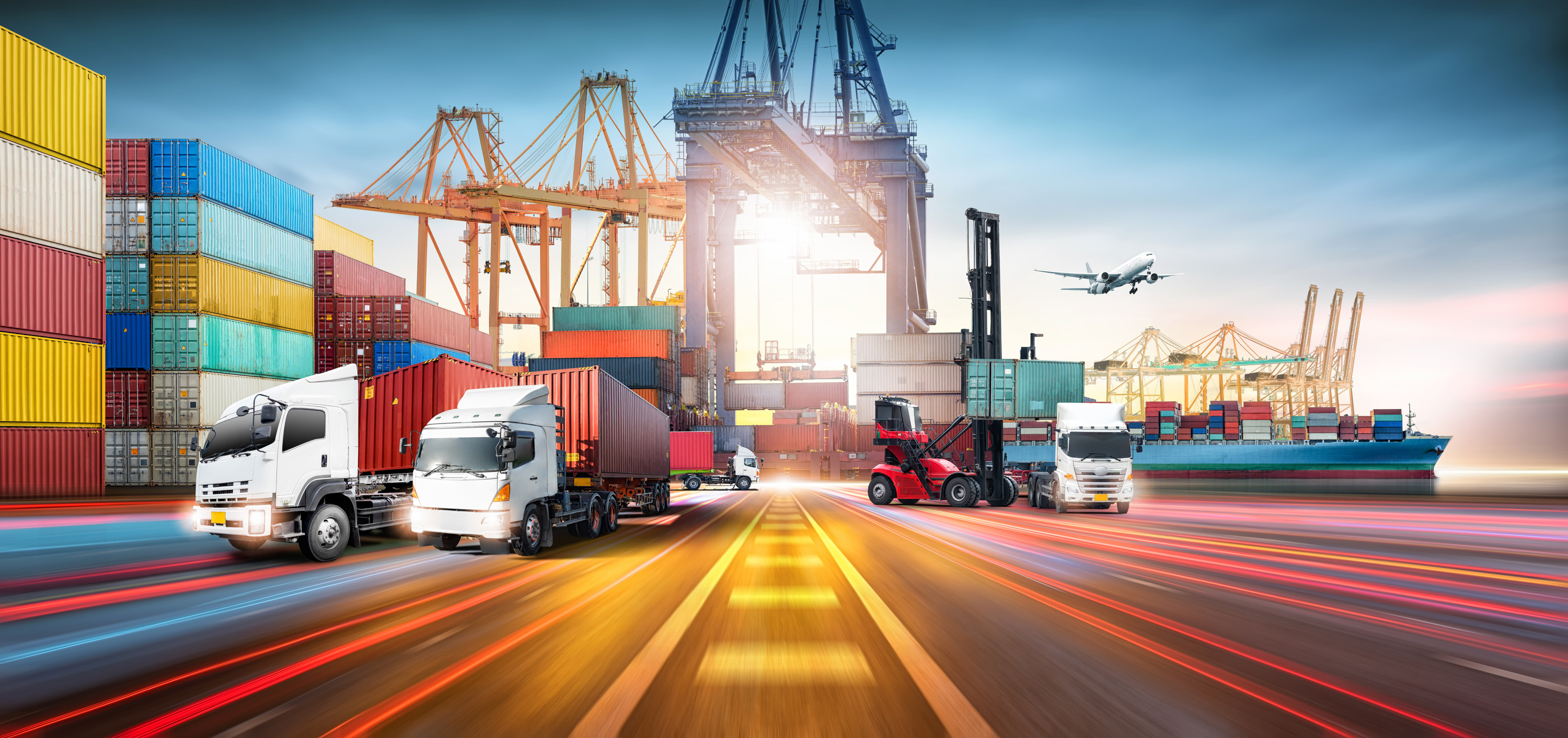 International supply chain network